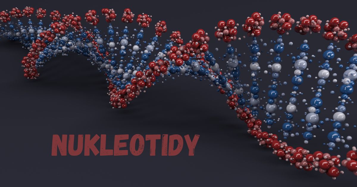 Nukleotidy
