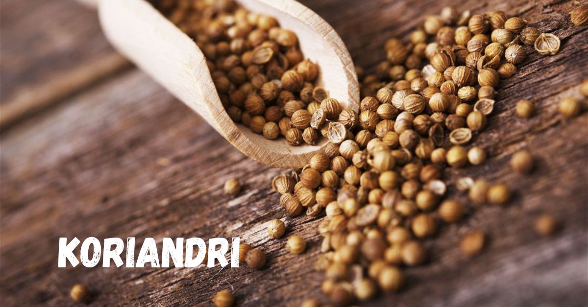 Koriandri